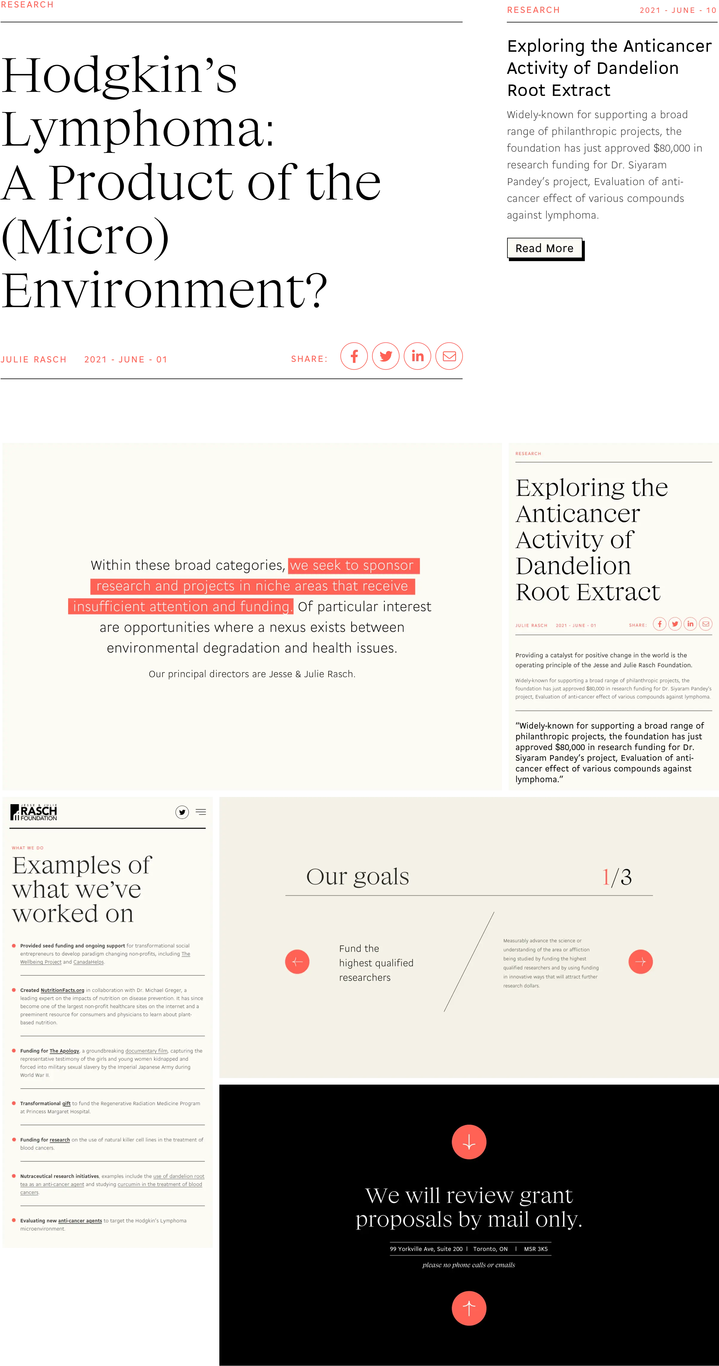 Rasch Foundation website mockup